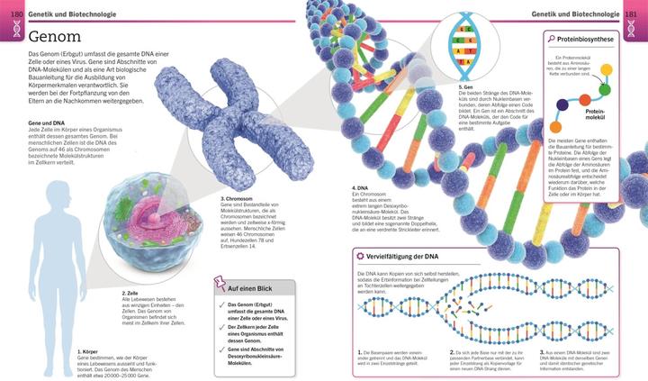Actual product image Visuelles Wissen. Biologie (German, Dietmar Mertens, DK Publishing House, 2021)