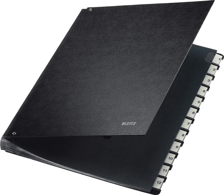 Leitz Pultordner Hartkarton (A4, 1 x)