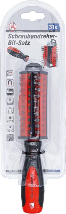 Actual product image BGS Schraubendreher-Bit-Satz (Allen screw, Cross recess, External square drive, Port, T-section)