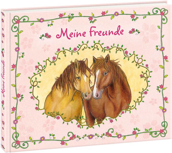 Produktbild Meine Freunde (Pferde) (21 x 17.50 cm)