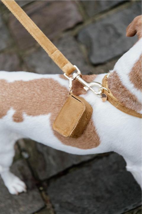 Produktbild Kentucky Dogwear Kotbeutelspender Velvet Square (One Size, Hund, Allgemein)