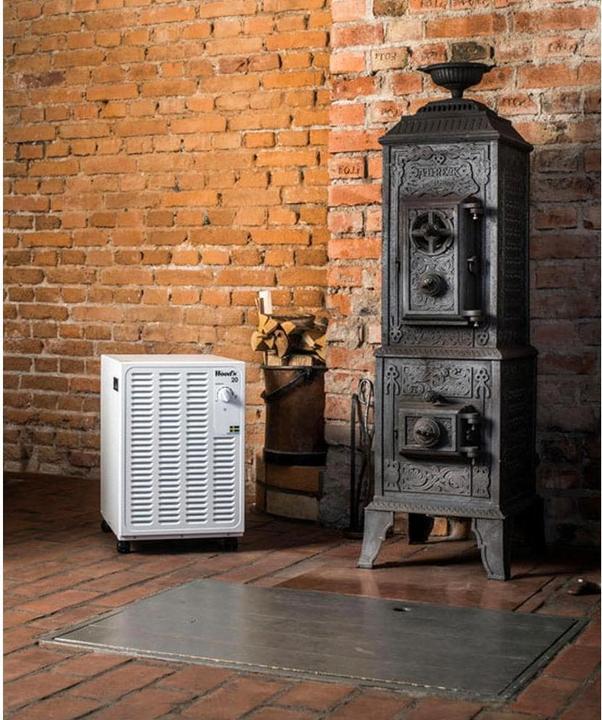 Image du produit Wood's SW20-FW (90 m², 12 l/24h)
