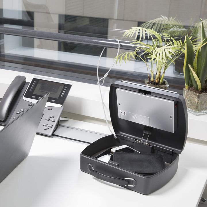 Image du produit Master Lock P008EML