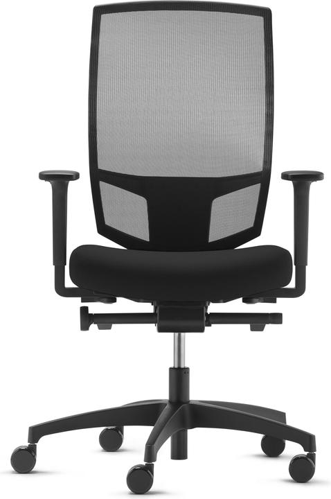 Actual product image Dauphin 5776 SLP