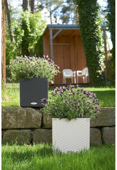 Produktbild Lechuza Cube Cottage (29.50 cm)