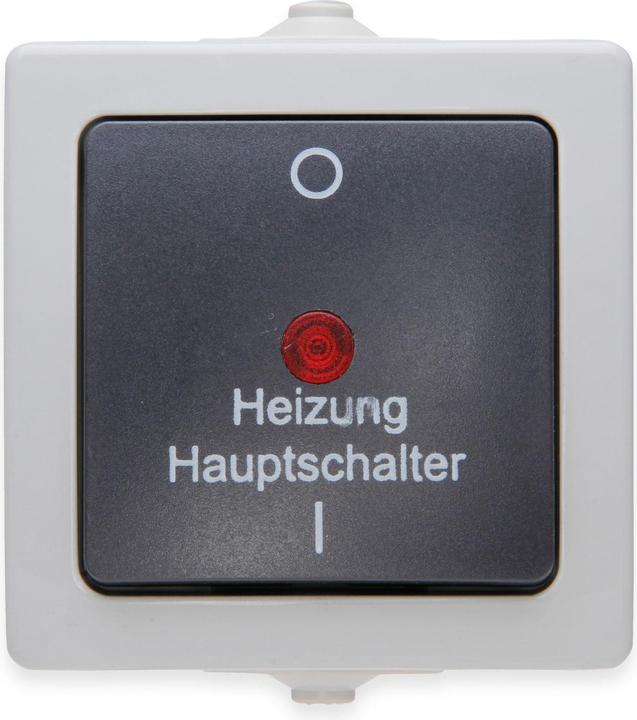 Produktbild Kopp Nautic Aufputz-Feuchtraum Heizungshauptschalter 2-polig beleuchtet mit Linse