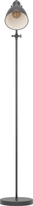 Actual product image EGLO Priddy (E27)