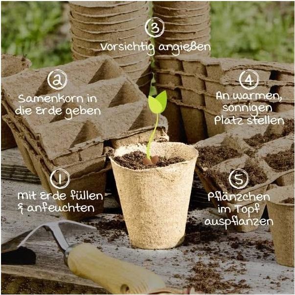 Actual product image Windhager Growing pots round 16pcs.