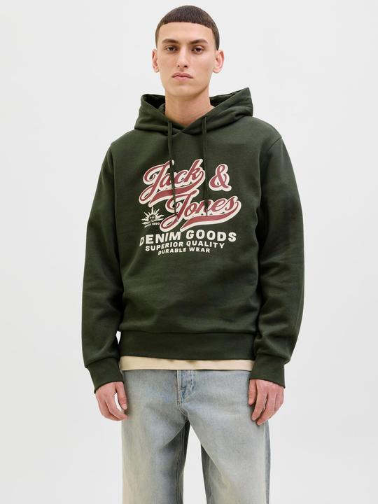 Actual product image Jack & Jones JJELOGO SWEAT HOOD 2 COL 25/26 NOOS (M)