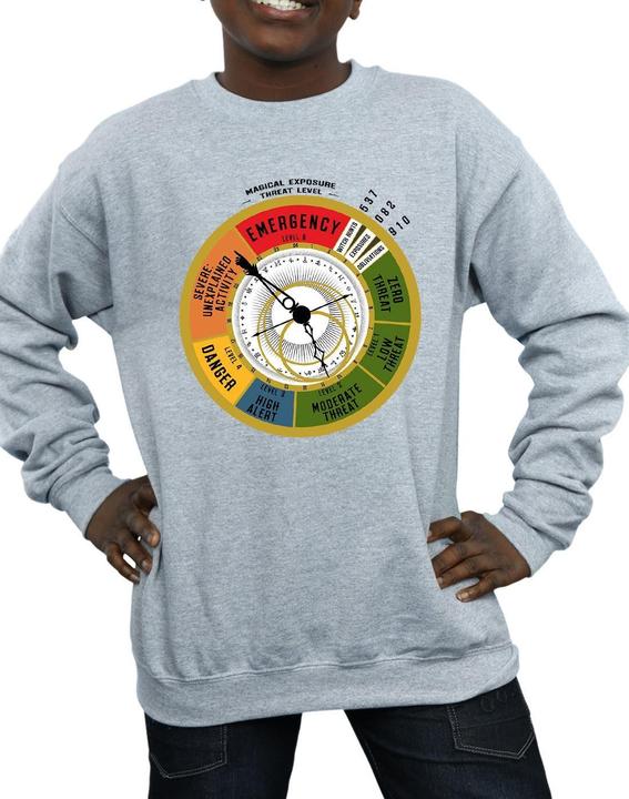 Produktbild Fantastic Beasts Threat Level Sweatshirt Jungen (152, 158)