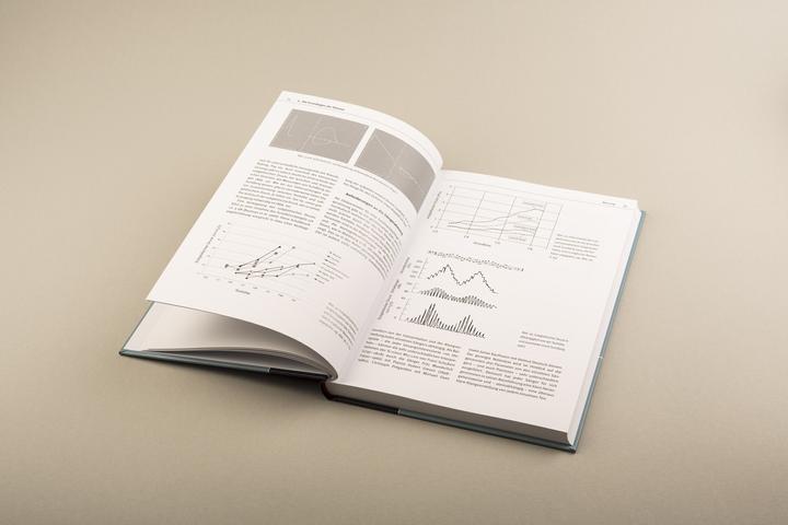 Produktbild Die Stimme (Deutsch, Bernhard Richter, 2018)