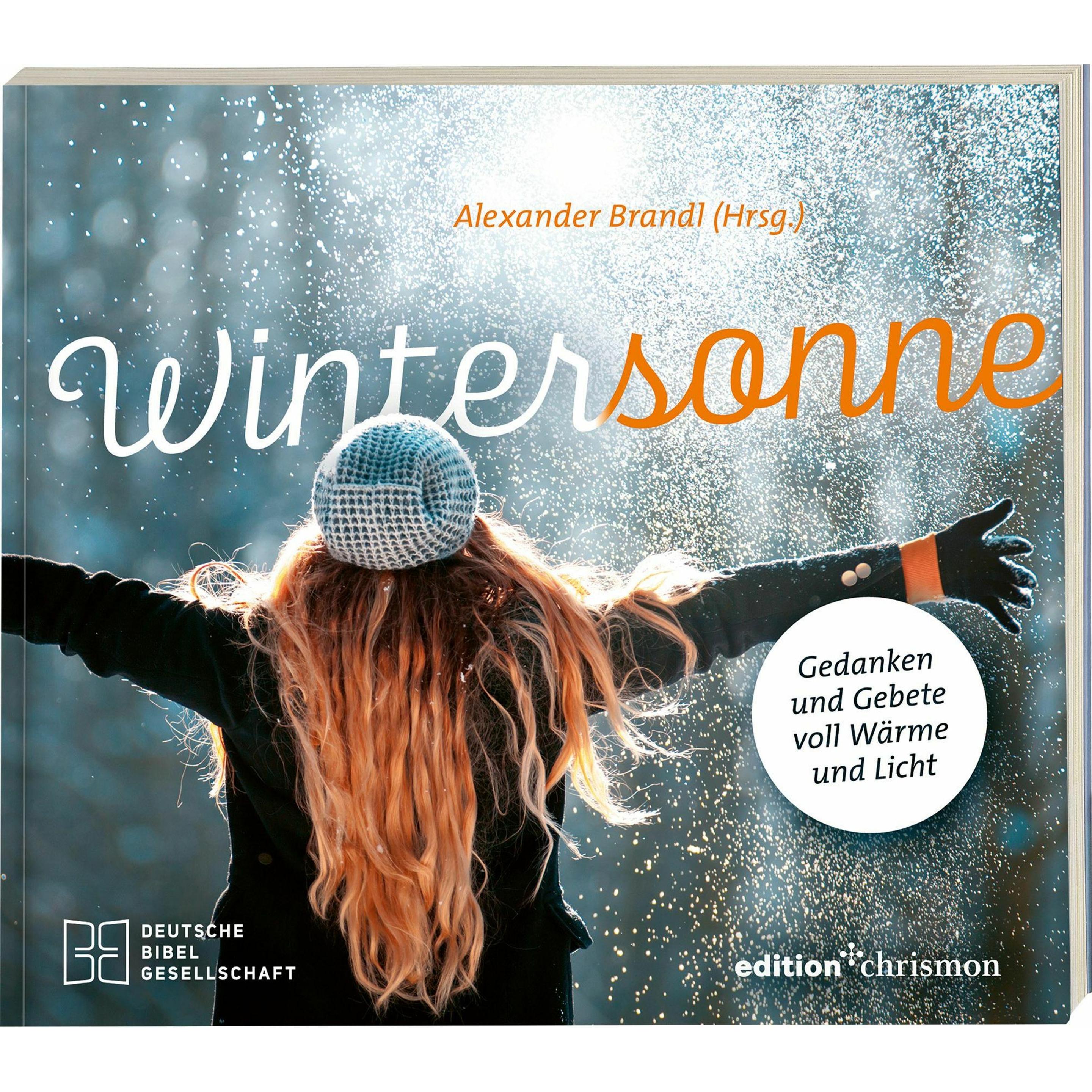 Wintersonne, Belletristik von Alexander Brandl