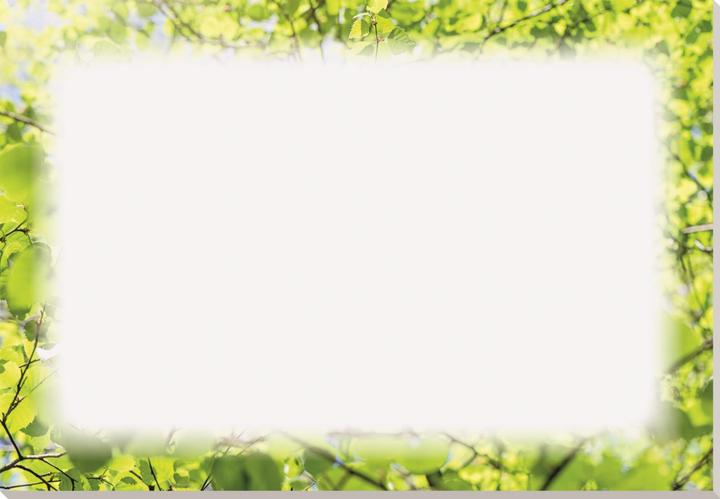 Soennecken Sous-main oeco 59,4x42 cm (lxh) sans film de protection Papier blanc/vert 20 pp. (59,4 x 42 cm)