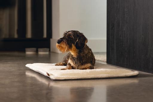 Produktbild Designed by Lotte Nalino (Hund)