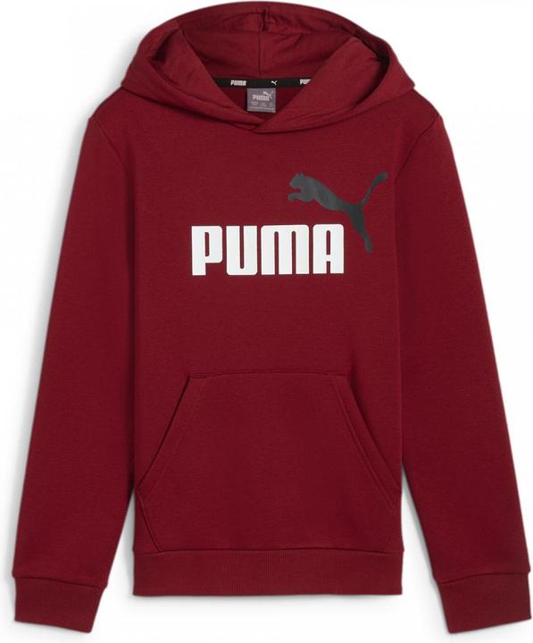 Actual product image Puma ESS+ 2 Col Big Logo Hoodie FL B (140)