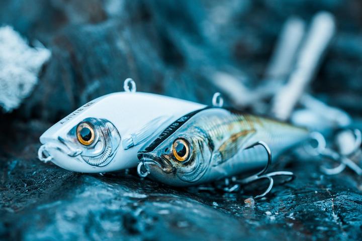 Immagine prodotto Caperlan Wobbler affondante per la pesca in mare (10 cm)