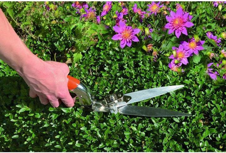Actual product image Bahco Grass shears with 3 positions and plastic handle cover