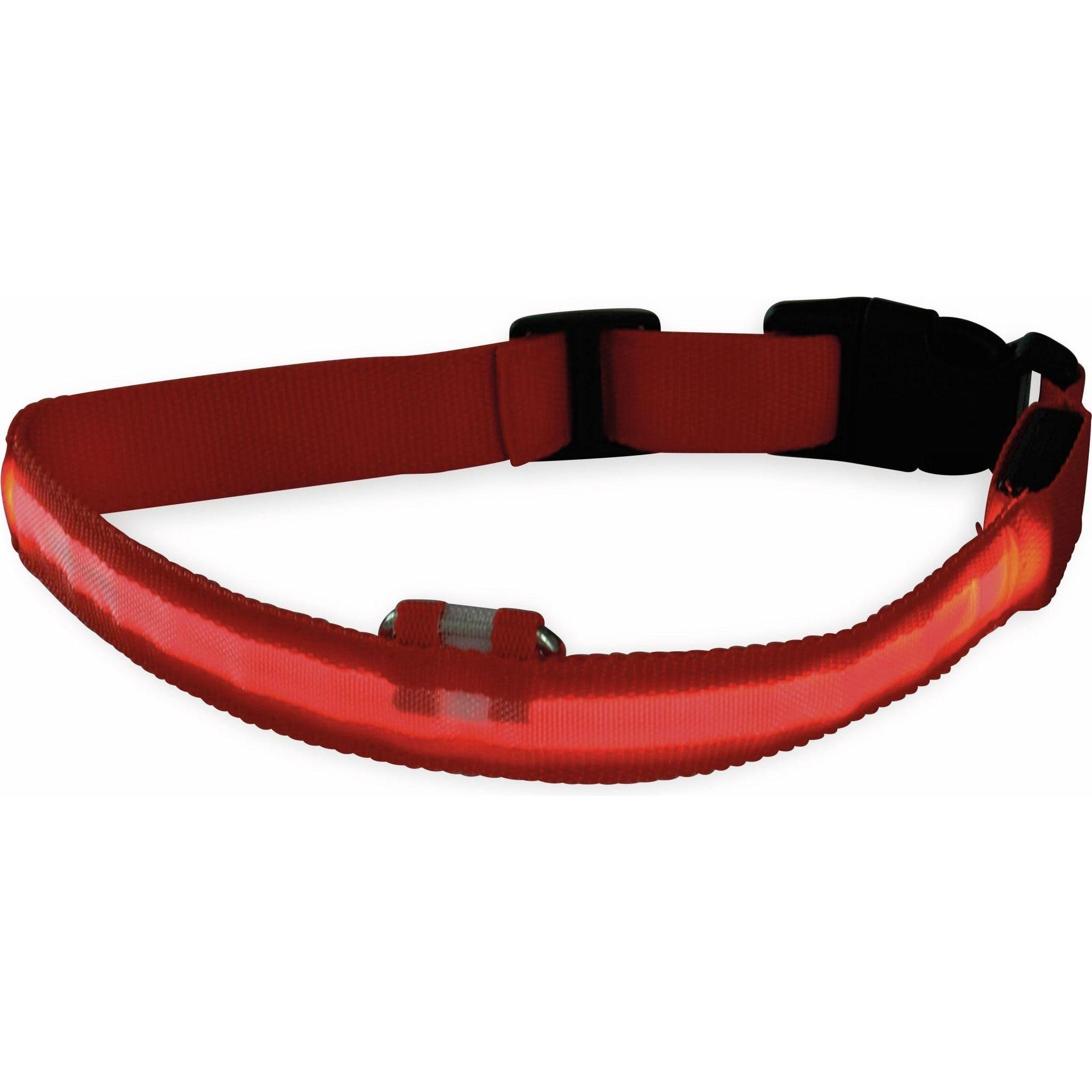 Thumbnail - Chilitec Hunde-Halsband Grösse S, rot, mit LED-Licht (S, Hund), Halsband + Leine