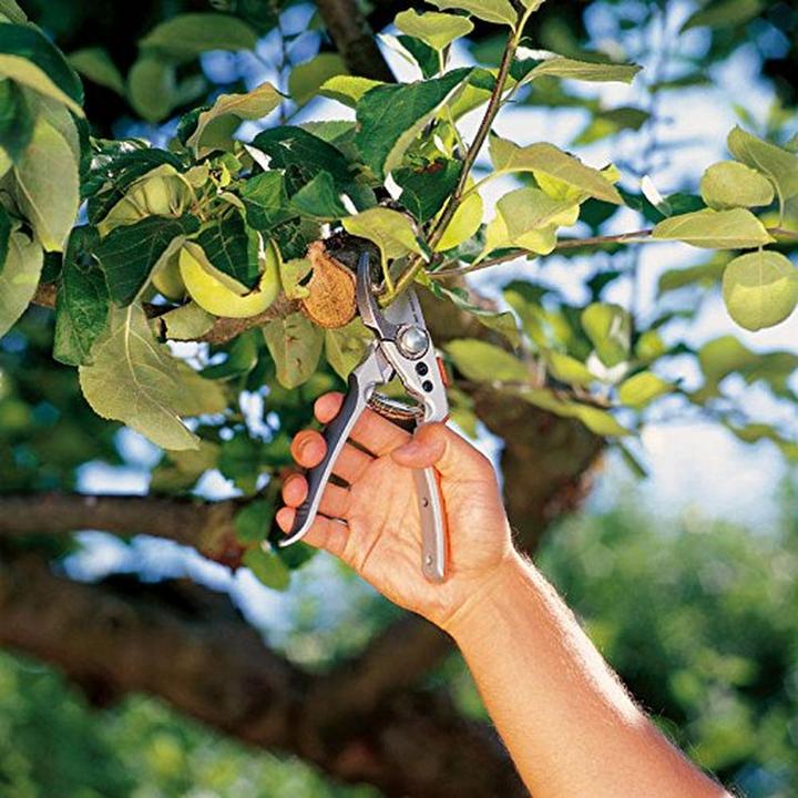 Actual product image Gardena Premium BP50