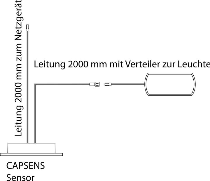 Produktbild Domus Sensorschalter CAPSENS 24 V/DC, max. 60 W, mit Verteiler