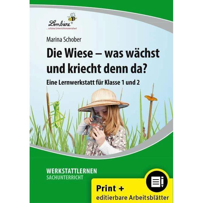 Die Wiese - was wächst und kriecht denn da?, Schulbücher von Marina Schober