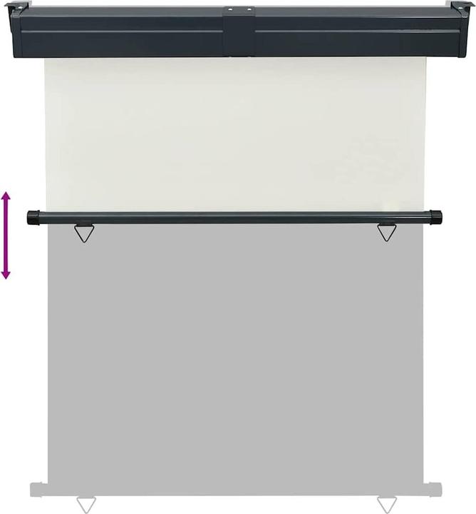 Image du produit VidaXL Auvent latéral (1.20 m)
