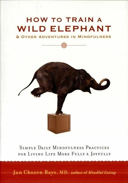 Produktbild How to Train a Wild Elephant (Englisch, Jan Chozen Bays, 2011)