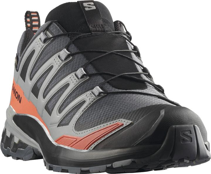 Produktbild Salomon XA Pro 3D V9 GTX (42)