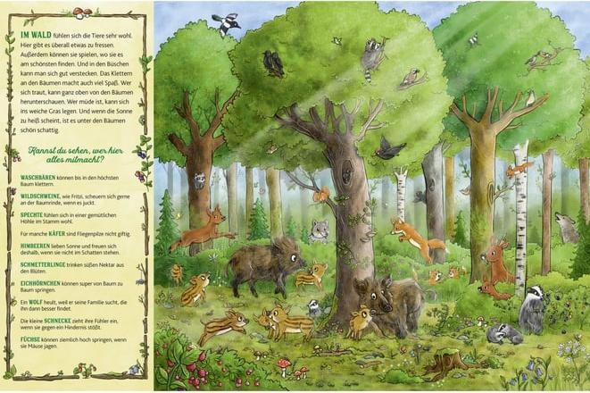 Immagine prodotto Das grosse Wald-Wimmelbuch (Tedesco)