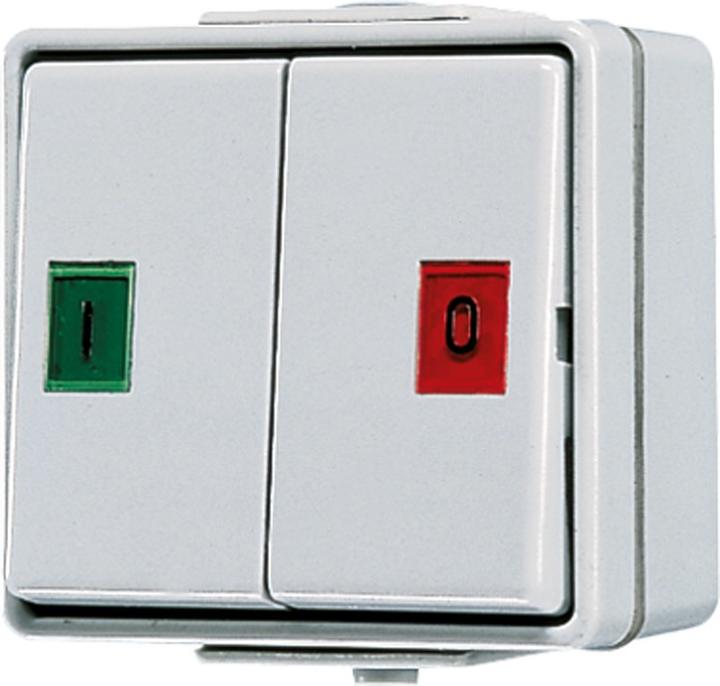 Produktbild JUNG Doppel-Taster