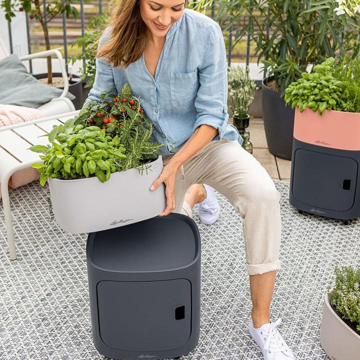 Actual product image Lechuza PILA Color Storage (35 x 35 x 32.60 cm)