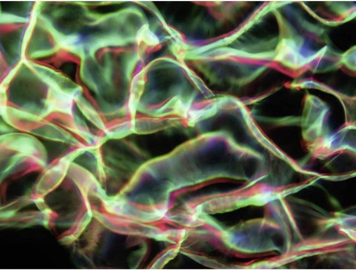 Image du produit Eurolite LED WF-40 Effet d'eau (LED)