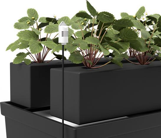 Produktbild Nido Hydroponic Automation