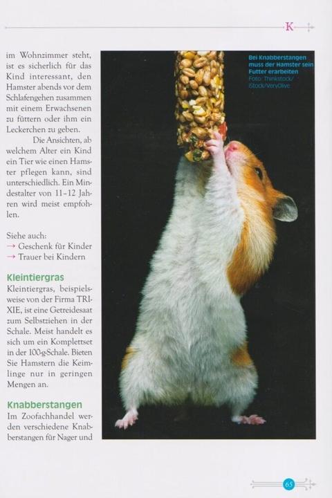 Produktbild Das kleine Hamsterlexikon (Deutsch, Katja Hindrichs, 2015)