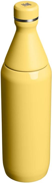 Image du produit Stanley 1913 All Day Slim Flasche (0.60 l)