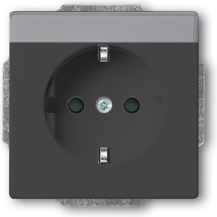 Actual product image Busch-Jaeger SCHUKO® socket outlet insert with 2CKA002011A3802