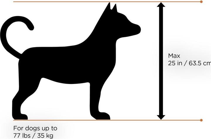 Productafbeelding Thule Bexey M