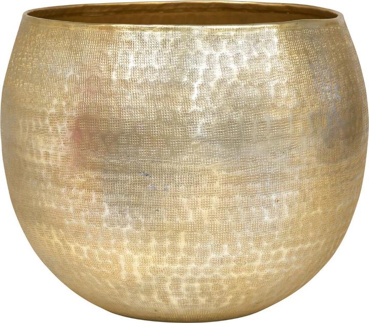 Actual product image pfister Net (38 cm)