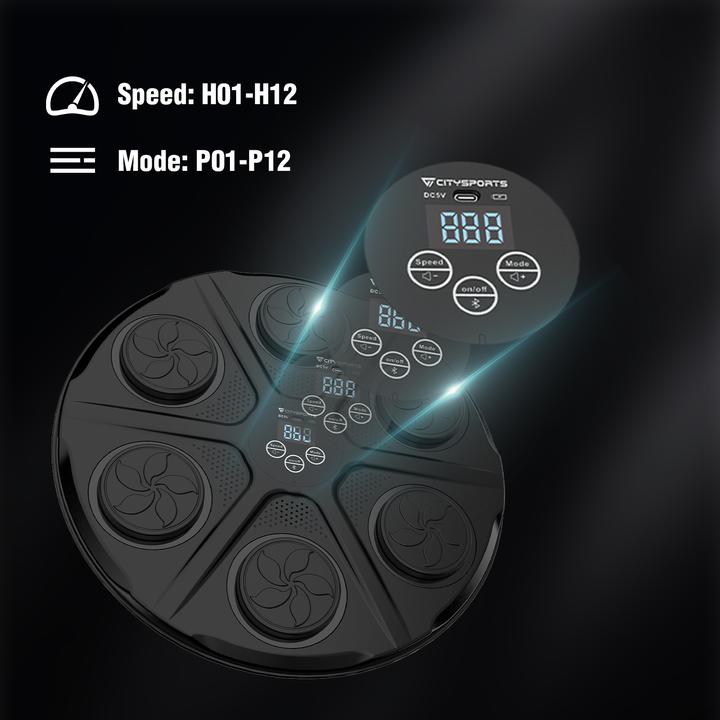 Immagine prodotto Citysports HJ-009 (6 kg)