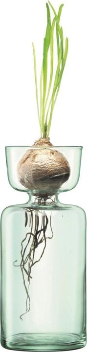 Produktbild LSA Canopy Vase/Zwiebelpflanzer H20cm - recy. Optik (1 x)