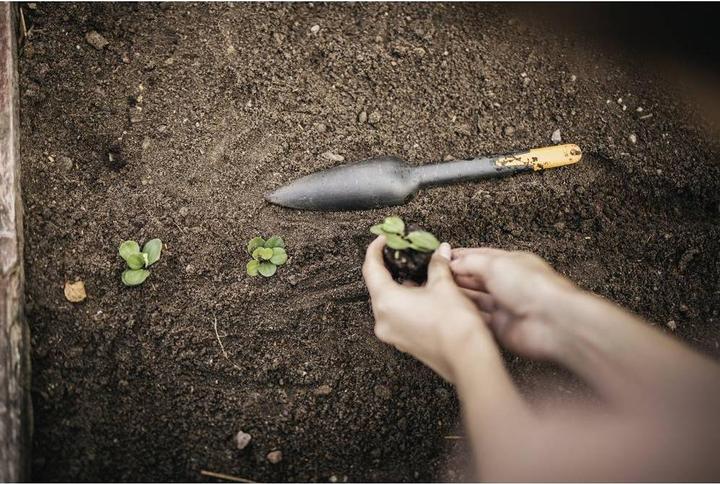 Actual product image Fiskars Solid Seed Plant Trowel