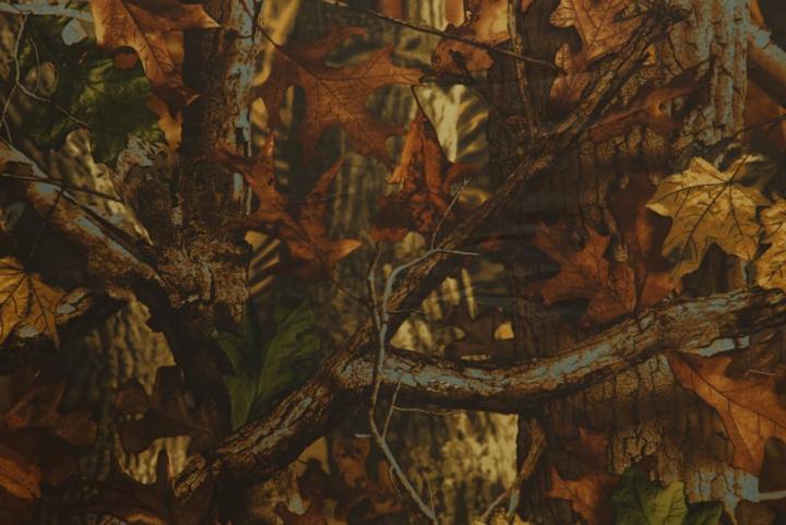 Image du produit Buteo Photo Gear Protection contre la pluie 2 (Manchon)