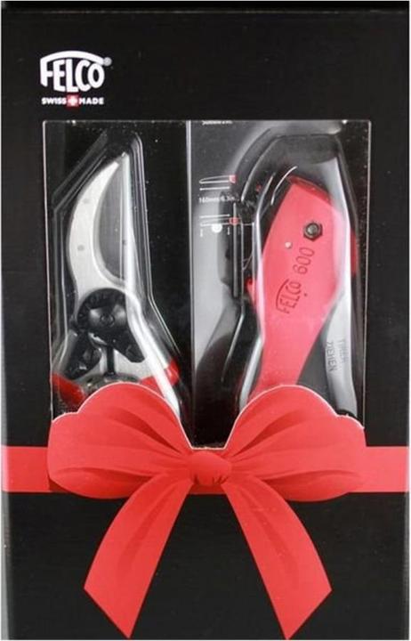 Actual product image Felco 2 + 600 Set
