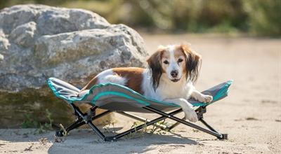 Actual product image Trixie Camping bed (Dog)