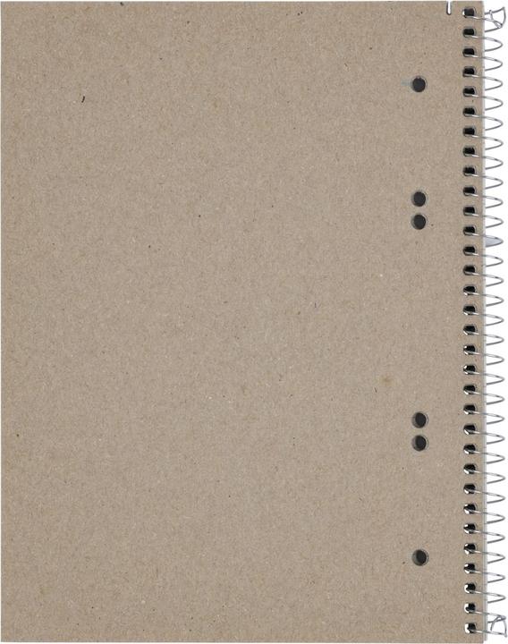 Image du produit Landré Bloc collégial A5+ recyclé (A5+, Quadrillé)