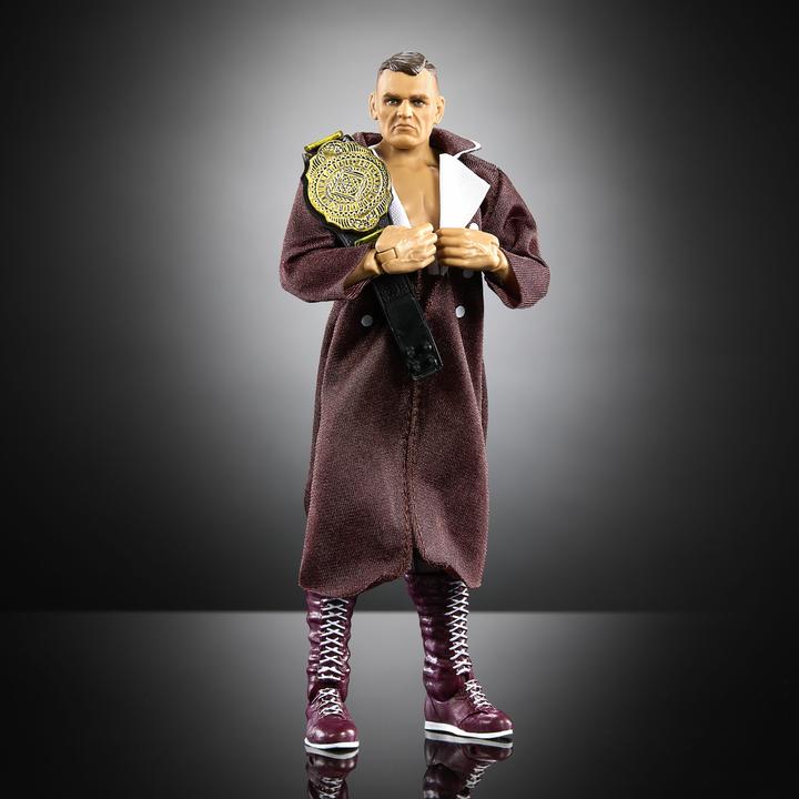 Actual product image WWE 0