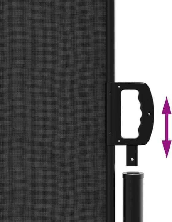 Actual product image vidaXL Extendable side awning (10 m)