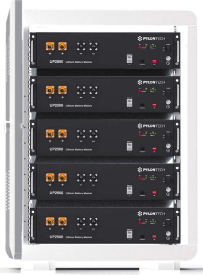 Actual product image Pylontech UP2500 2.8 kWh LiFePO4 24V storage battery incl. BMS (24 V, 110 Ah)