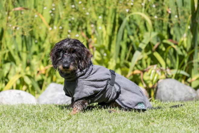 Produktbild Trixie Bademantel Frotee (M, Hundebademantel)