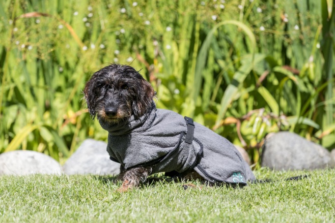Actual product image Trixie Bathrobe Frotee (M, Dog bathrobe)